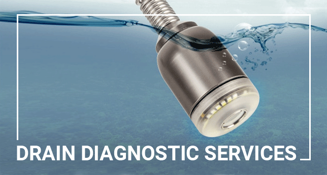 drain diagnostic services in Northern Sydney